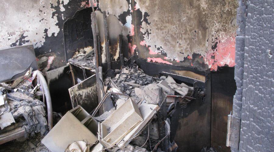 Why choose Mold Removal Expert for mold removal in Fort Worth